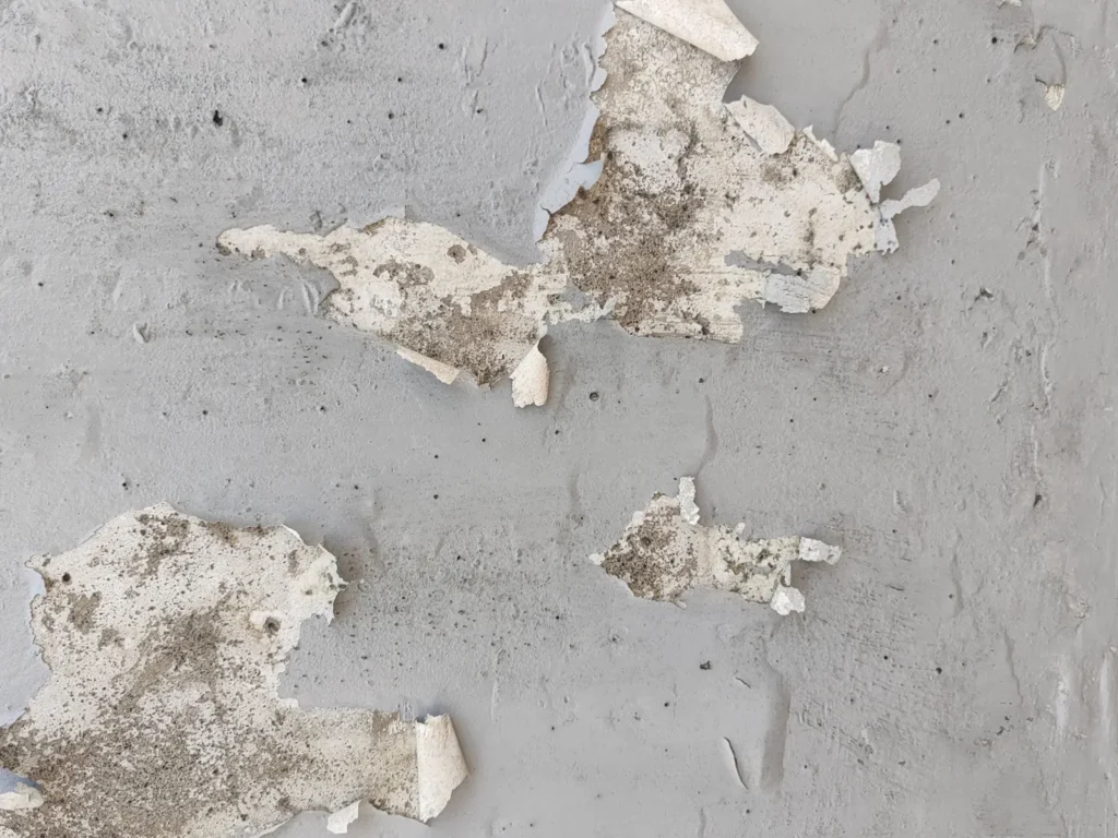łuszczenie betonu